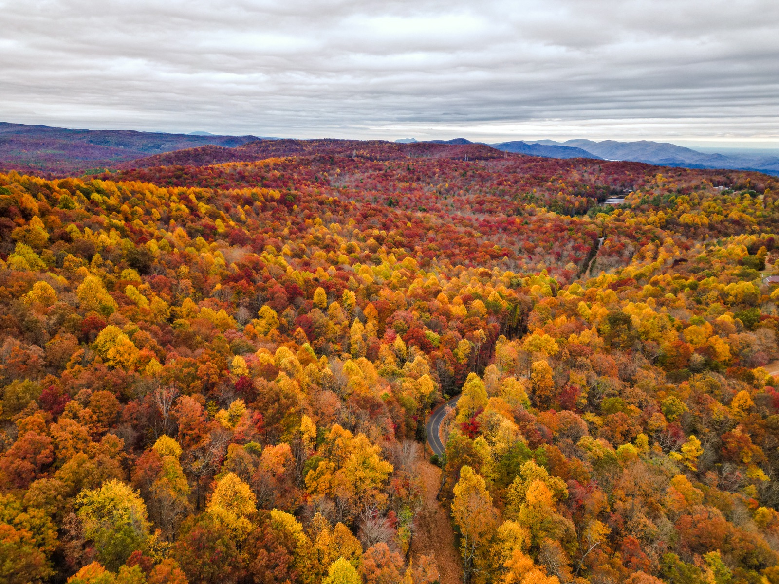 Best things to do in Asheville NC